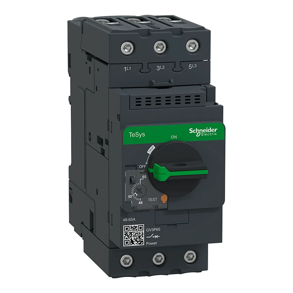 Автоматичний вимикач 65 А Schneider Electric GV3P65