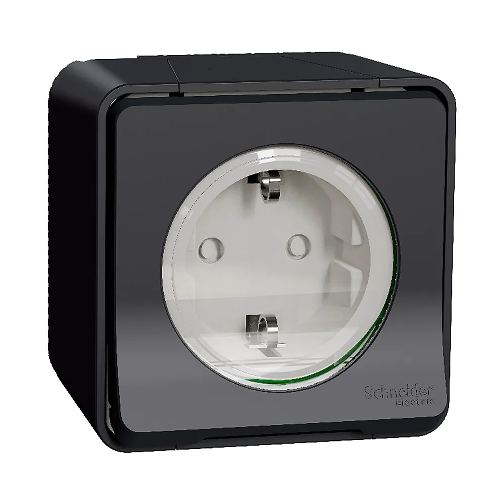 Розетка Schneider Electric Mureva Styl з з/к та шторками чорна IP55 MUR36034