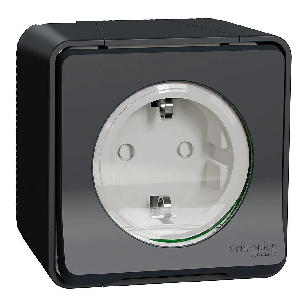 Розетка Mureva Styl з заземленням зі шторками чорна IP55 Schneider Electric MUR36034