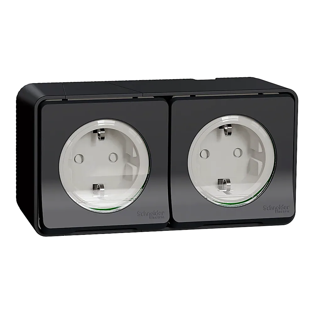 Блок розеток Mureva S 2-ний з заземленням зі шторками чорний IP55 Schneider Electric MUR36029