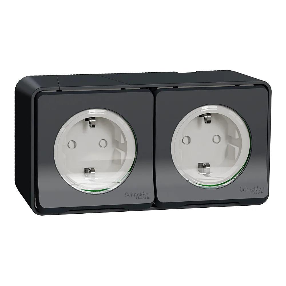Розеткова колодка Mureva S 2-ний з заземленням зі шторками чорний IP55 Schneider Electric MUR36029