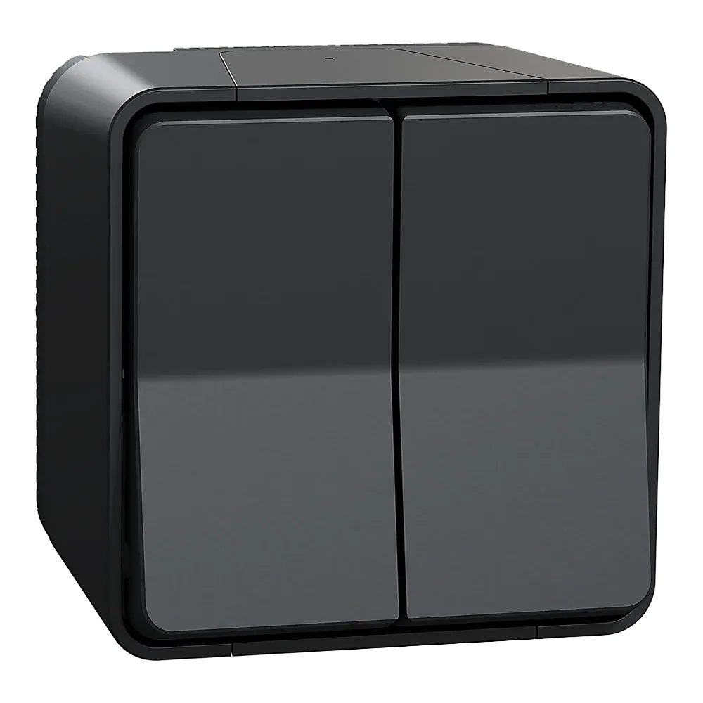 Перемикач 2-клавішний у зборі Mureva S схема 6+6 чорний IP55 Schneider Electric MUR35022