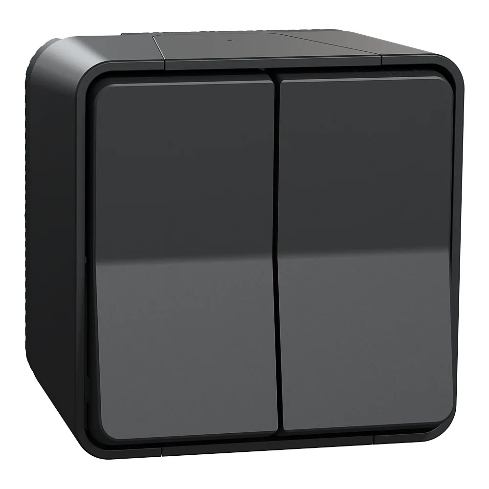 Перемикач 2-клавішний у зборі Mureva S схема 6+6 чорний IP55 Schneider Electric MUR35022
