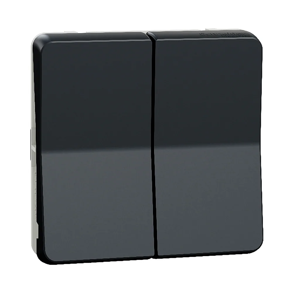 Перемикач Schneider Electric Mureva Styl 2-клавішний сх. 6+6 чорний IP55 MUR35019