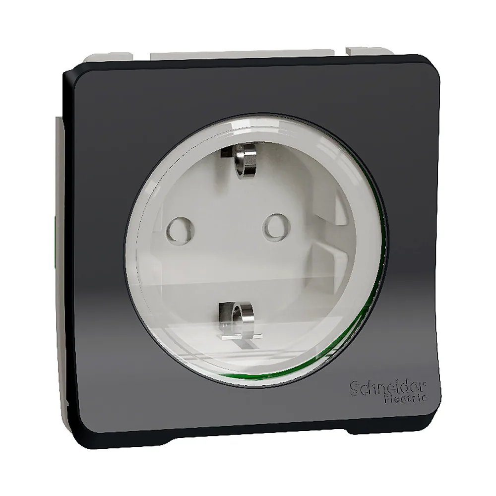 Розетка Schneider Electric Mureva Styl з з/к та шторками чорна IP55 MUR36134