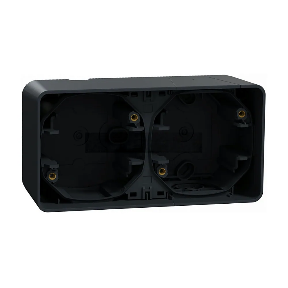 Бокс Schneider Electric Mureva Styl IP55 2-ний горизонтальний чорний MUR37914