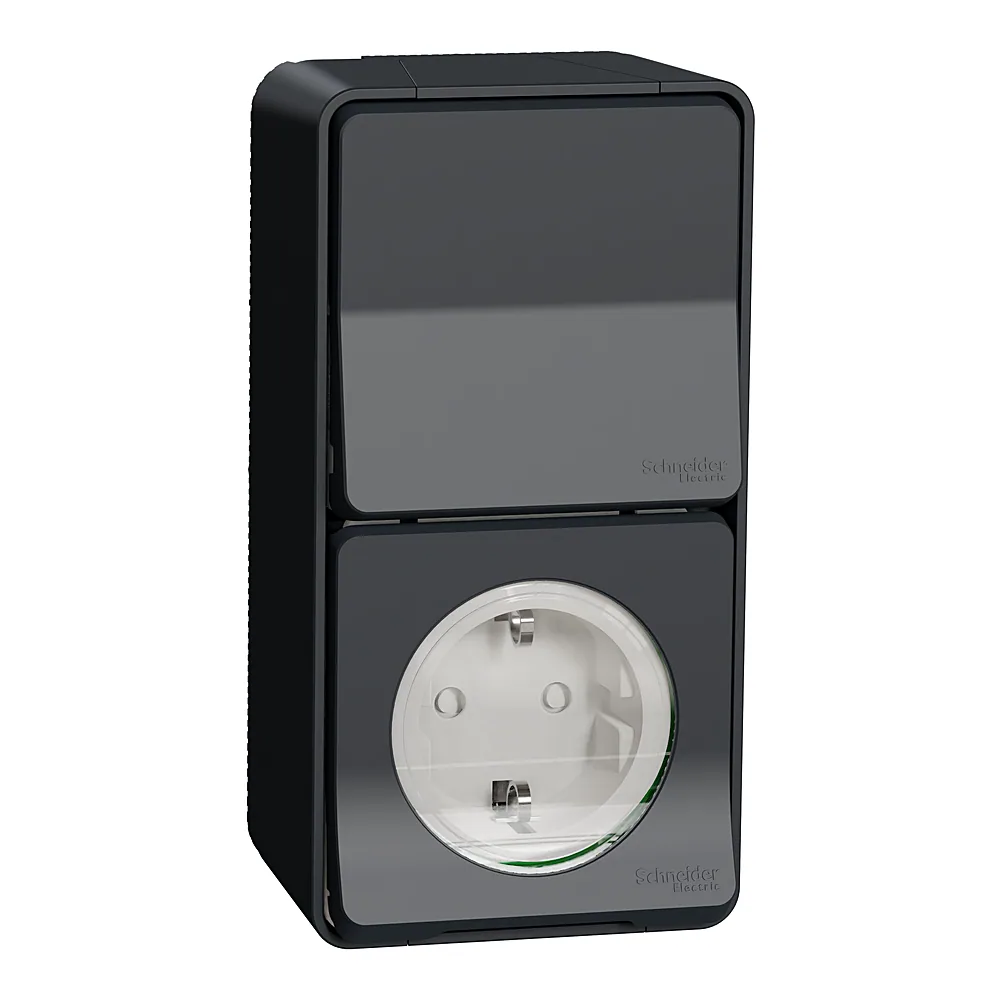Розеткова колодка Mureva S з розеткою та перемикачем вертикальний чорний IP55 Schneider Electric MUR36024