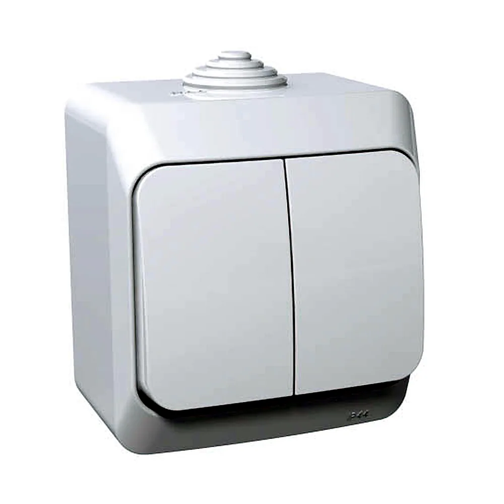 Вимикач Schneider Electric Cedar IP44 двоклавішний білий WDE000550