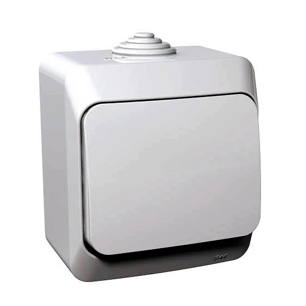Перемикач одноклавішний, CEDAR, IP44 (білий), WDE000560, Schneider Electric