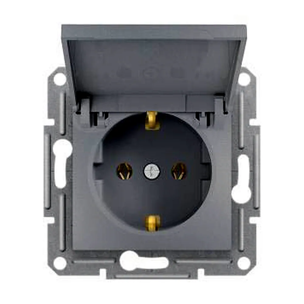 Розетка Schneider Electric Asfora з заземленням з кришкою сталь EPH3100162