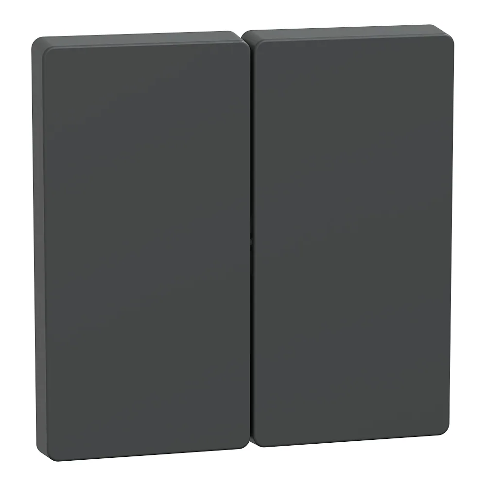 Клавіша 2-постова D-Life антрацит Schneider Electric MTN3400-6034