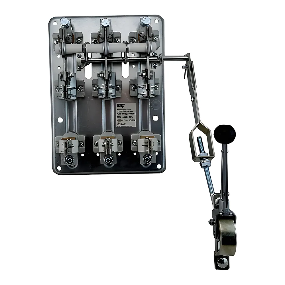 Вимикач-роз'єднувач РПС-2P 250 А TECHNO SYSTEM TNSy5504261