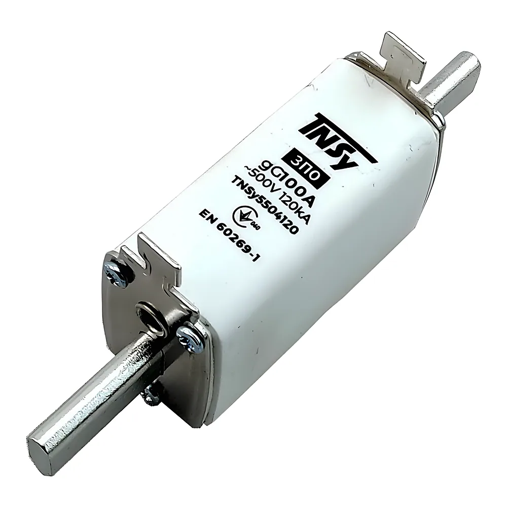 Запобіжник плавкий ЗП0 габарит 0 100 А TECHNO SYSTEM TNSy5504120