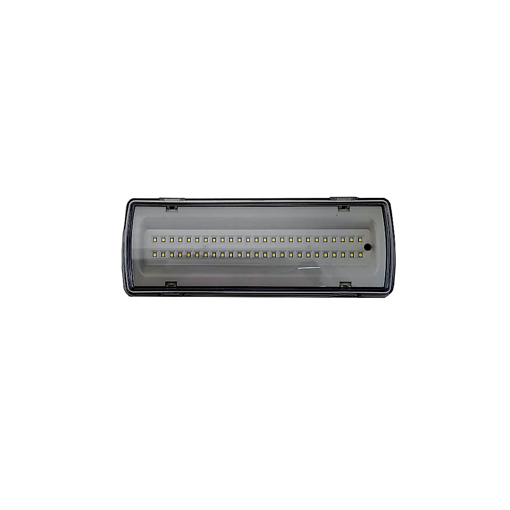 Світильник евакуаційний TECHNO SYSTEM UJ02-50LED-4W-6500K-3H-400L-IP65 TNSy5000560
