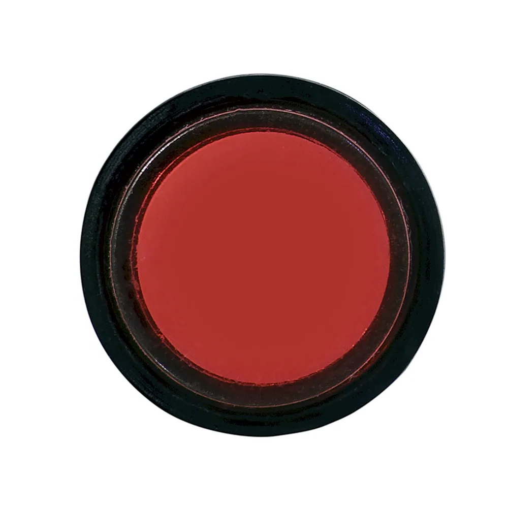 Світлодіодна матриця АсКо AD22E-8DS 24V AC/DC червона A0140030173