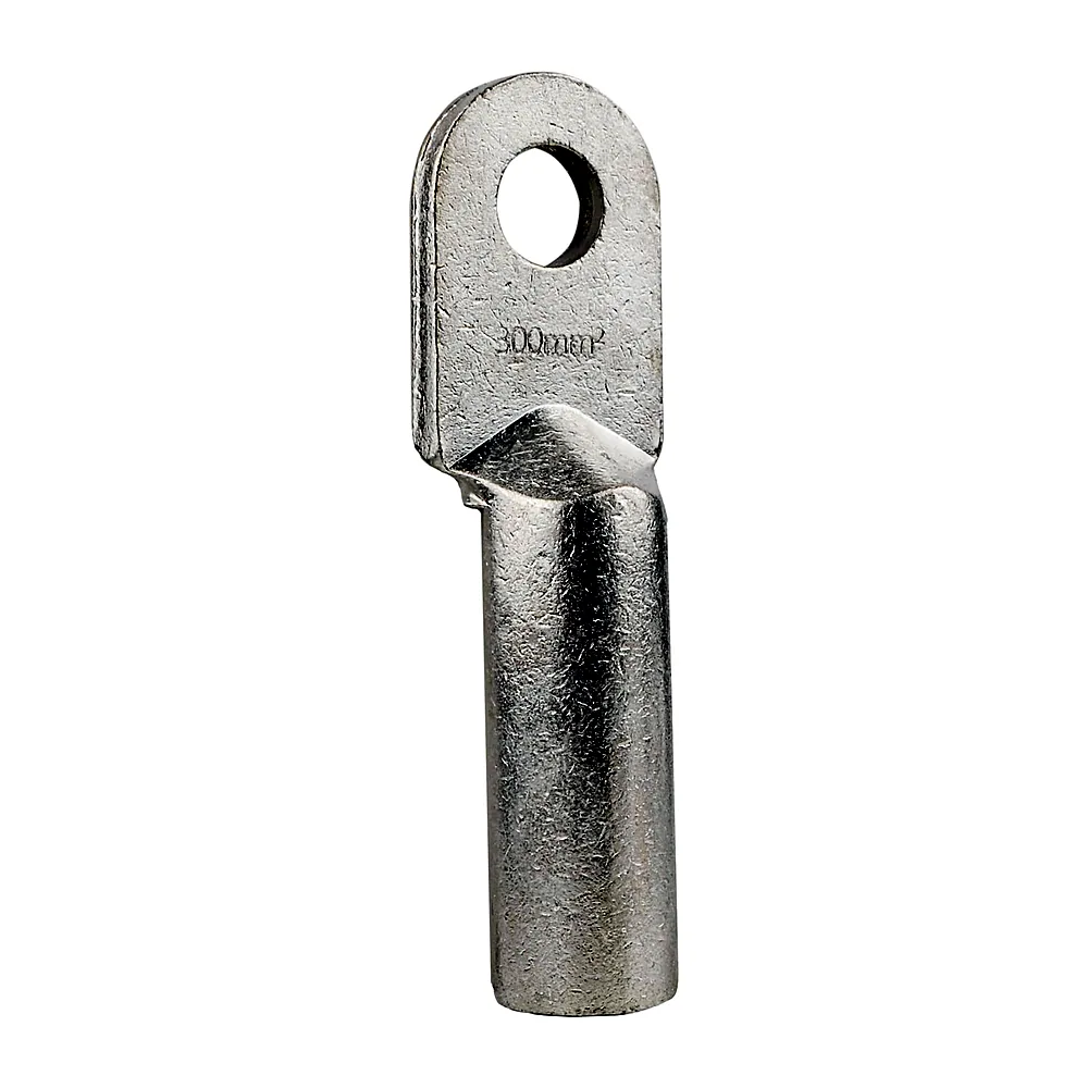 Кільцевий наконечник АсКо DT-300 A0060070029