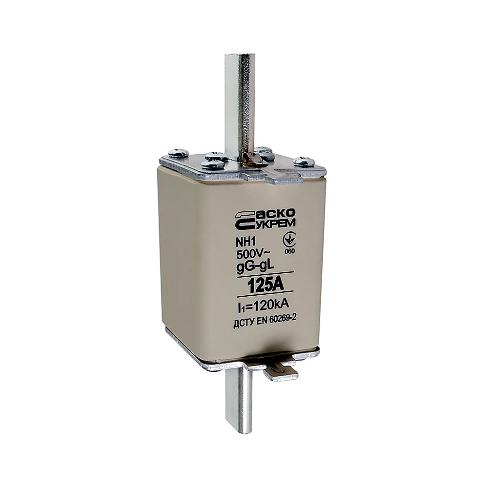 Запобіжник АсКо NH1 125A gG A0050010029