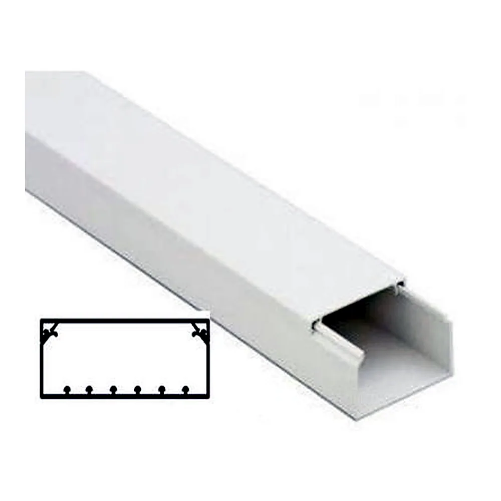 Кабель-канал DKC TA-GN 100x60 мм W0 2000 мм 01786
