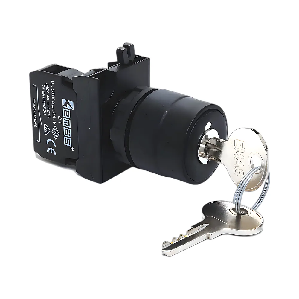 Кнопка з ключем CP100A21 0-1 1NO IP65 EMAS CP100AA20