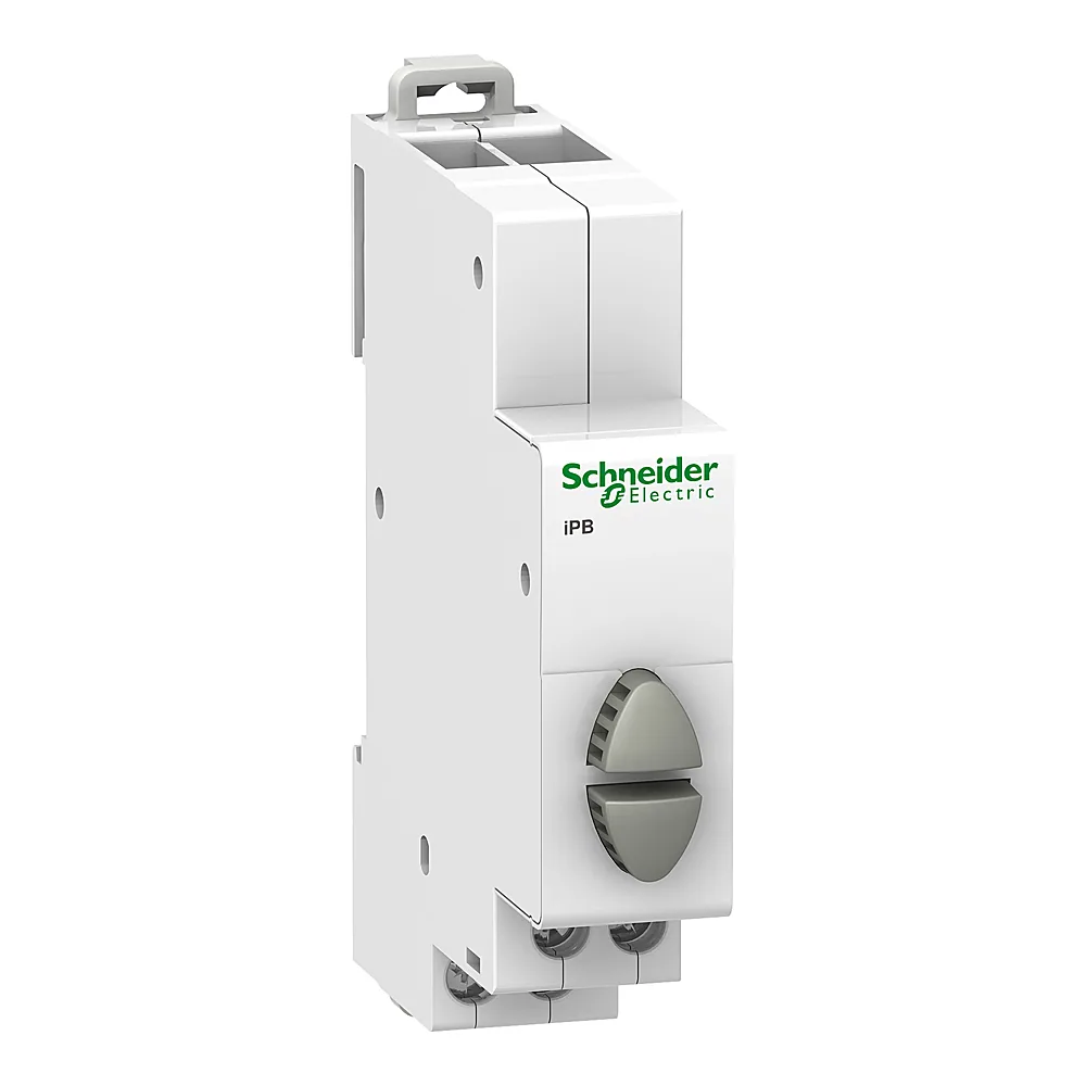 Кнопка керування iPB 1NO-1NO сіра Schneider Electric A9E18035