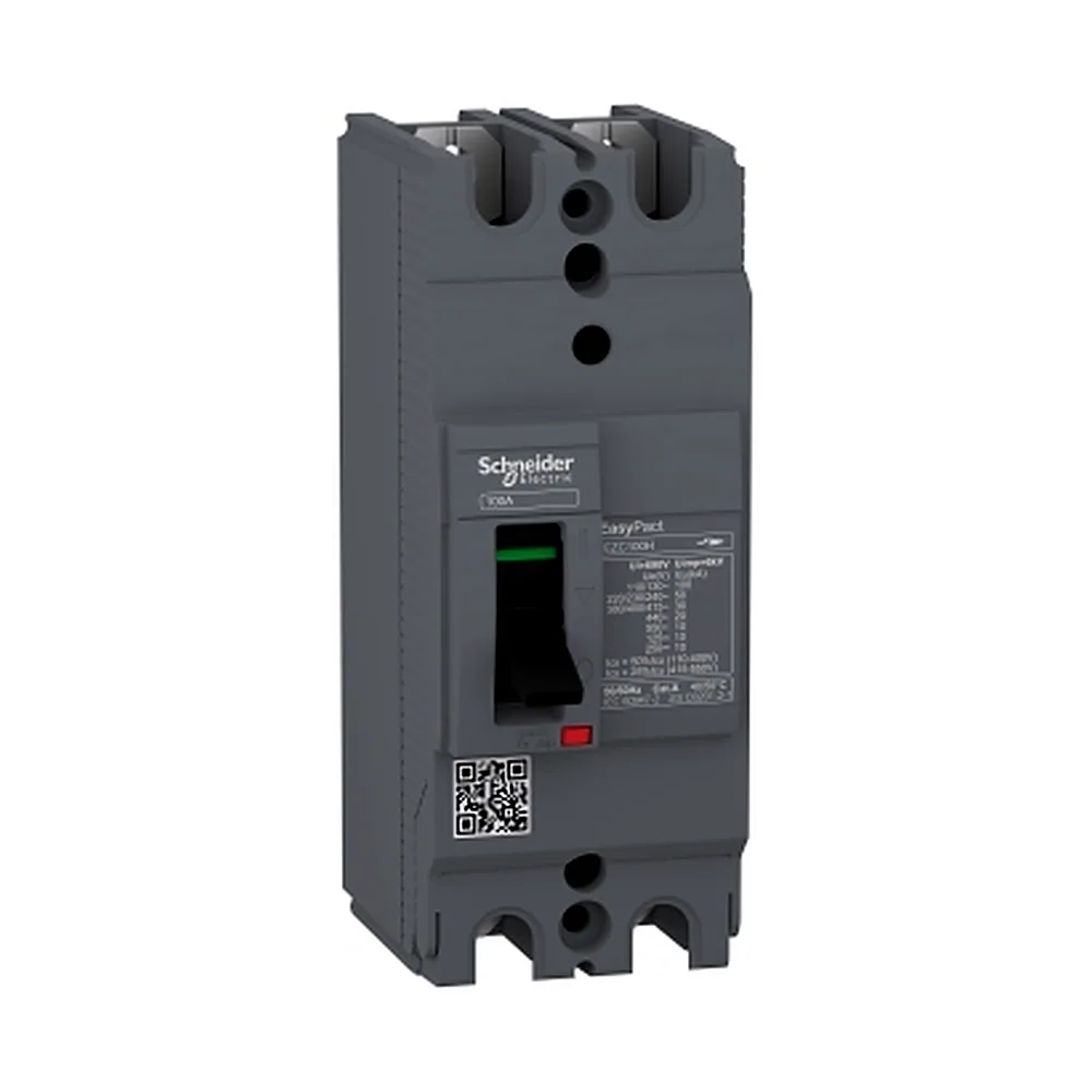 Автоматичний вимикач EASYPACT EZC100H 2P2T 30кА/415В 100A