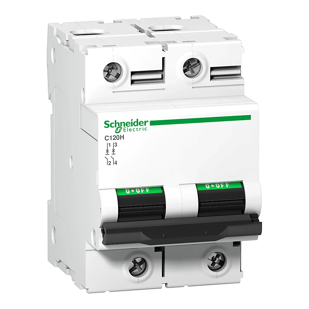 Автоматичний вимикач C120H 2P D 63 А Schneider Electric A9N18500