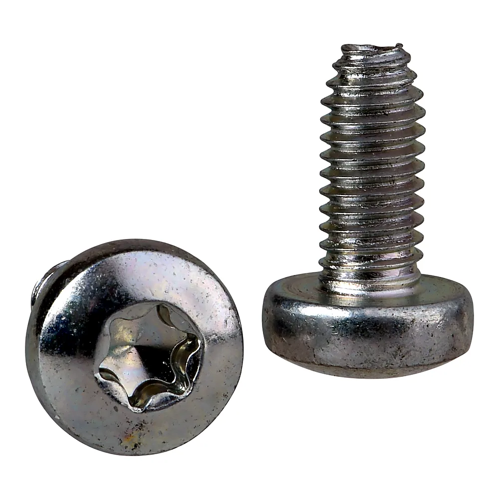 Гвинт самонарізний Torx T30 M6х12 мм (100 шт) Schneider Electric NSYST30M6S