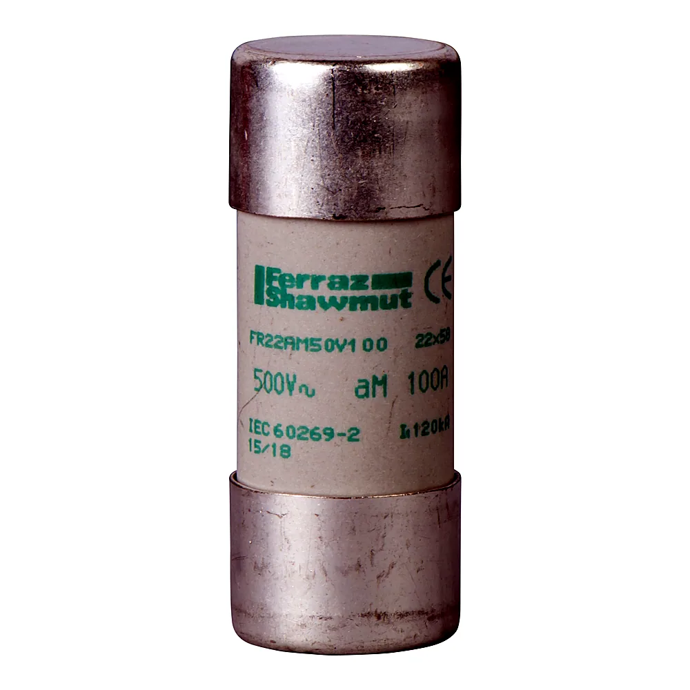 Запобіжник циліндричний 22х58 мм aM 100 А 500 В Schneider Electric DF2FA100