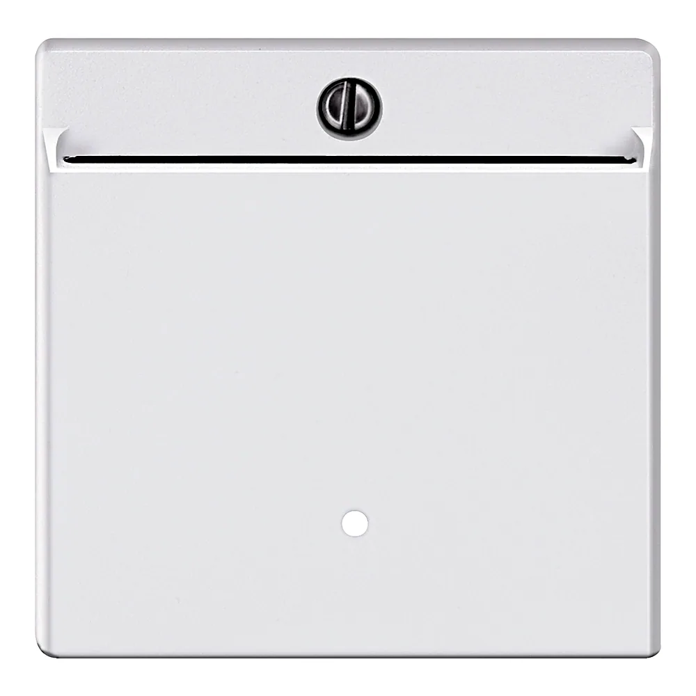 Накладка карткового вимикача System M полярно-біла Schneider Electric 315419
