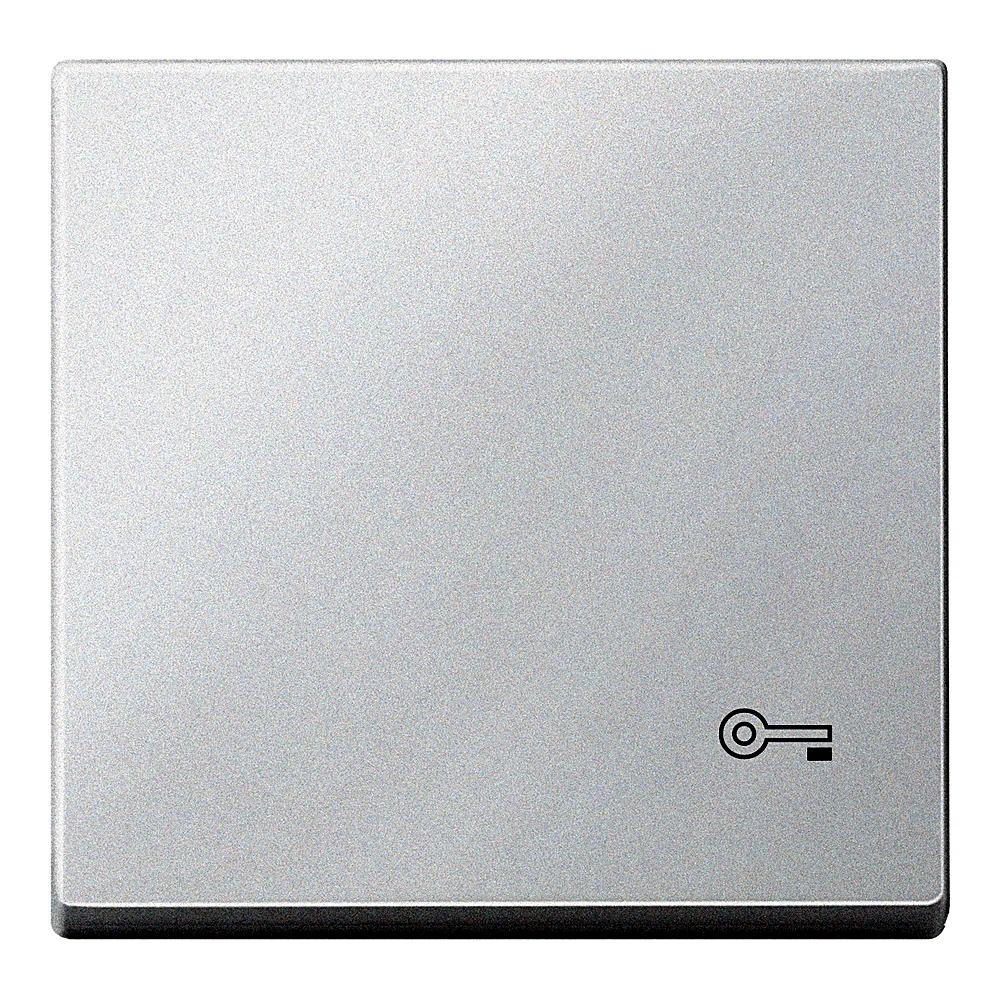 Накладка 1-клавішного вимикача System M з символом ключа полярно-біла Schneider Electric MEG3303-0419