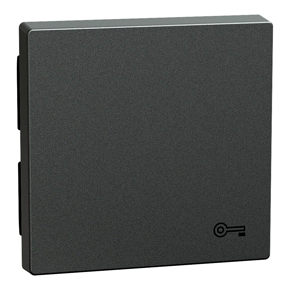 Накладка 1-клавішного вимикача System M з символом ключа алюміній Schneider Electric MEG3303-0460