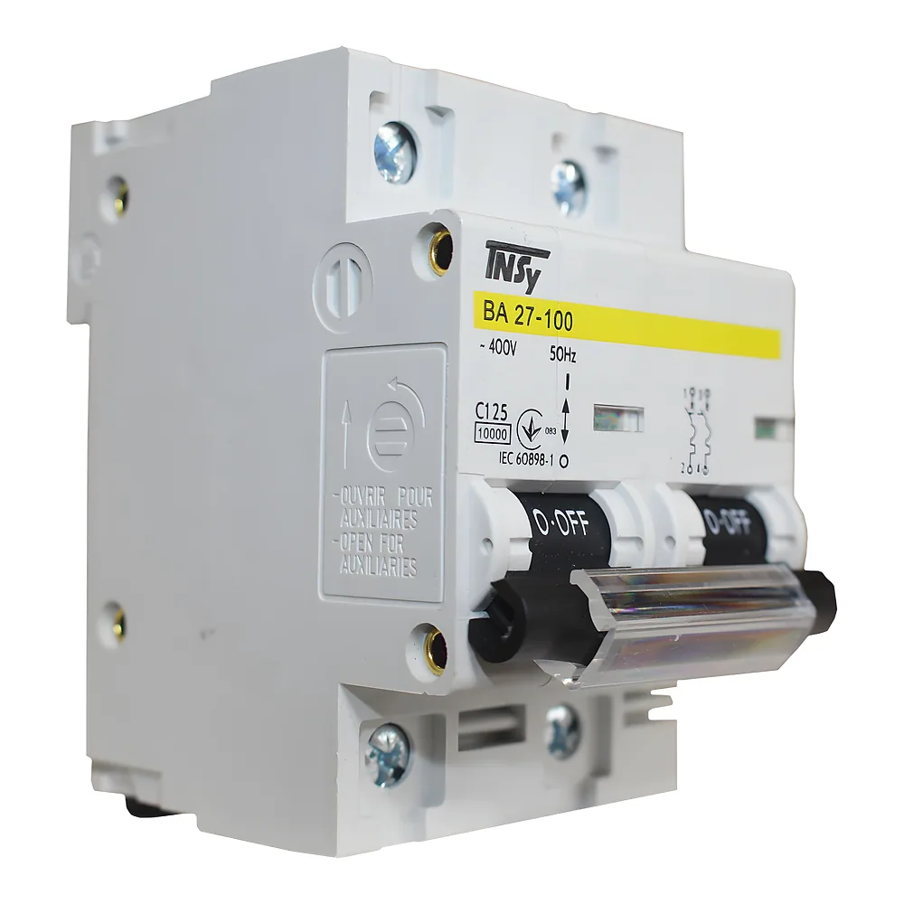 Автоматичний вимикачВА27-100 2P 125 А 10 кА характеристика C TECHNO SYSTEM TNSy5504848