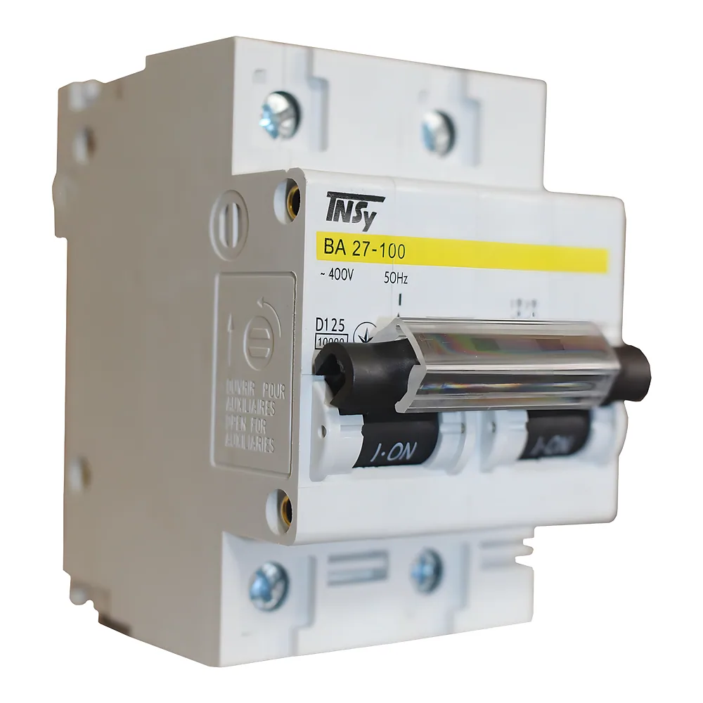 Автоматичний вимикач ВА27-100 2P 125 А 10кА характеристика D TECHNO SYSTEM TNSy5504896