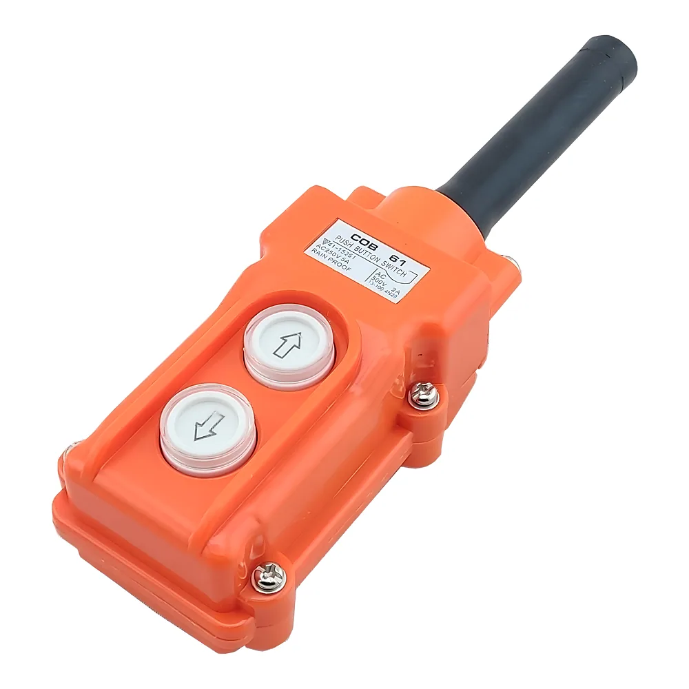 Пост керування ПКТ-2 на 2 кнопки IP 54 TECHNO SYSTEM TNSy5504287
