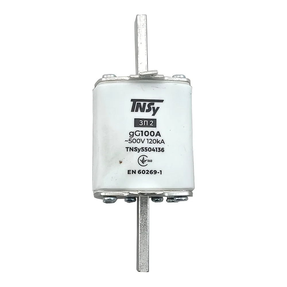 Запобіжник ЗП2 габарит 2 100 А TECHNO SYSTEM TNSy5504136