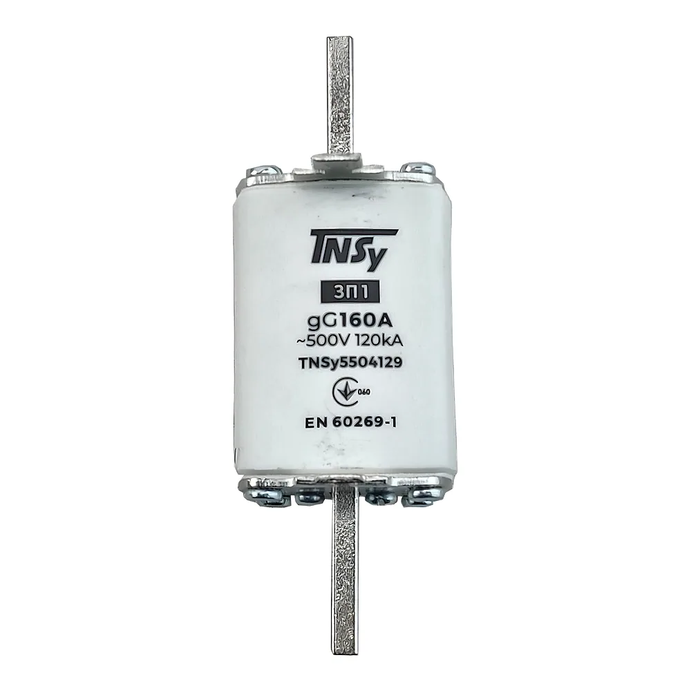 Запобіжник ЗП1 габарит 1 160 А TECHNO SYSTEM TNSy5504129