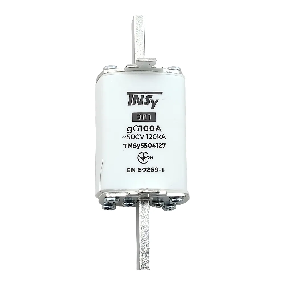 Запобіжник ЗП1 габарит 1 100 А TECHNO SYSTEM TNSy5504127