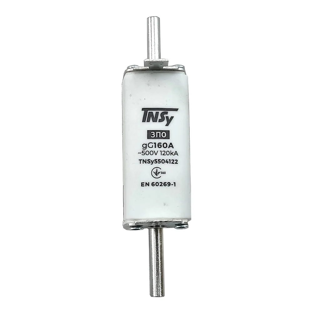 Запобіжник ЗП0 габарит 0 160 А TECHNO SYSTEM TNSy5504122