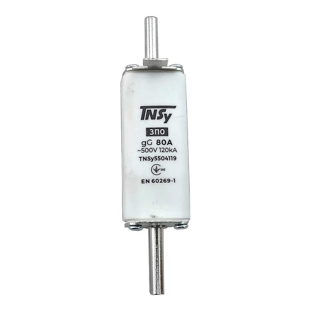 Запобіжник ЗП00 габарит 00 160 А TECHNO SYSTEM TNSy5504105