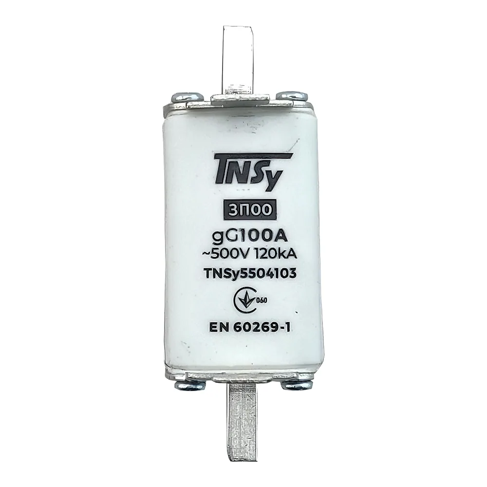 Запобіжник ЗП00 габарит 00 100 А TECHNO SYSTEM TNSy5504103