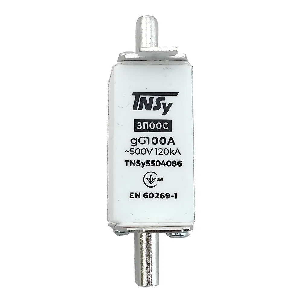 Запобіжник ЗП00C габарит 00С 100 А TECHNO SYSTEM TNSy5504086