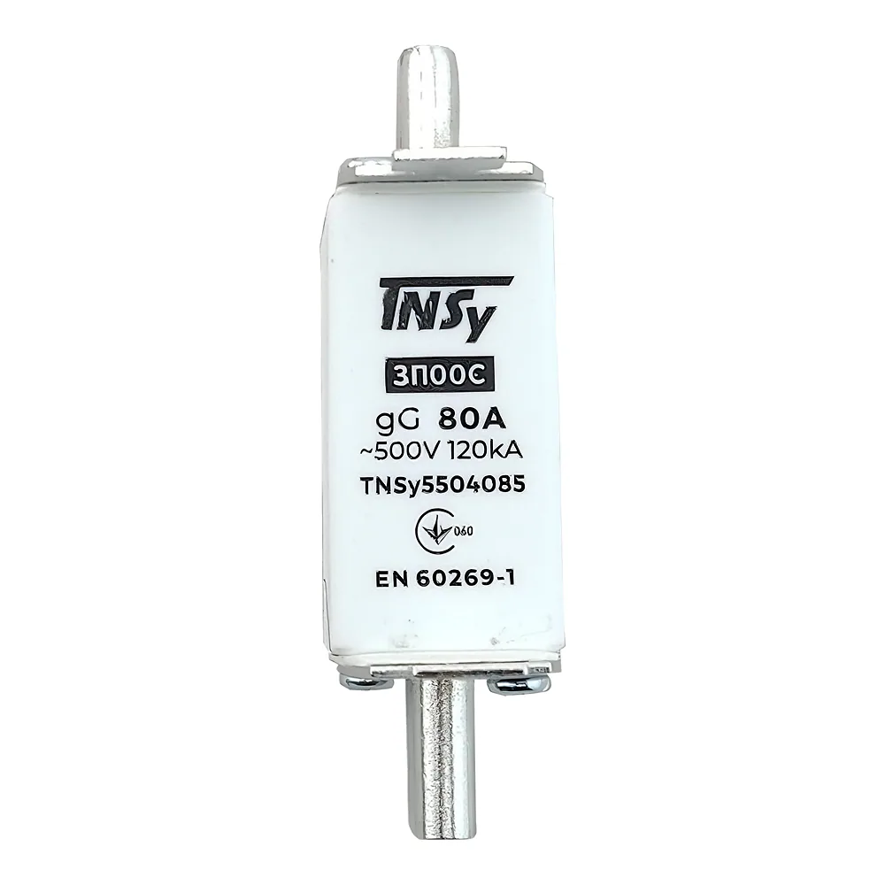 Запобіжник ЗП00C габарит 00С 80 А TECHNO SYSTEM TNSy5504085