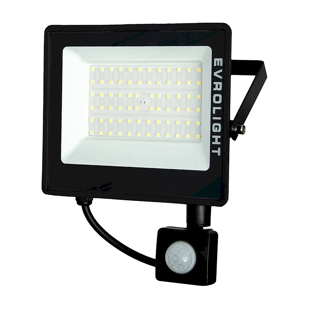 Прожектор світлодіодний Евросвет EVROLIGHT FM-01D-50 50Вт 6400К з датчиком руху 000057051