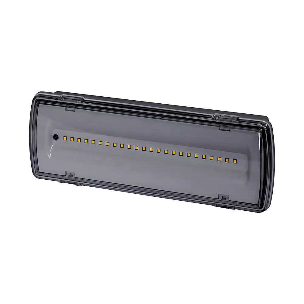 Аварійний світильник e.emerg.507L-24.led.Li.3h.IP65 не постійний 3 год E.NEXT l0660042