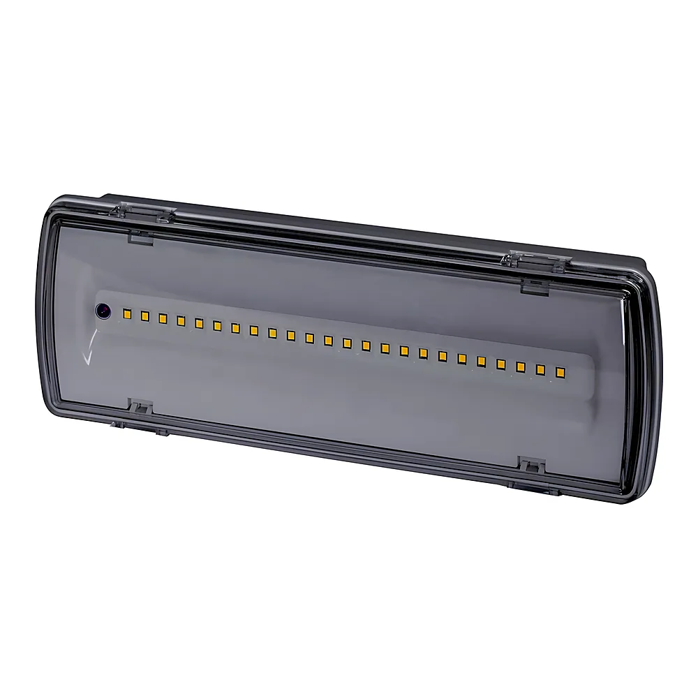 Аварійний світильник e.emerg.507L-24.led.Li.3h.IP65 не постійний 3 год E.NEXT l0660042